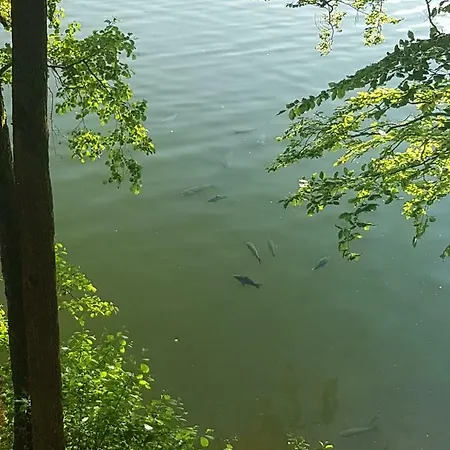Am Badesee Schoensee 12 Prázdninový dům *