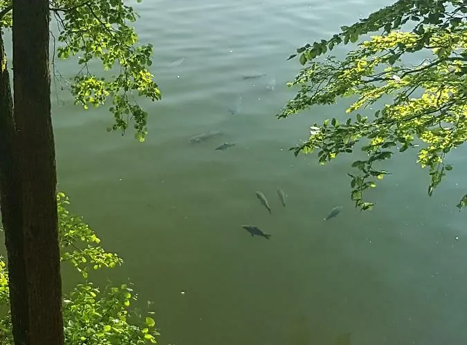 Am Badesee Schoensee 12 Дом отдыха *