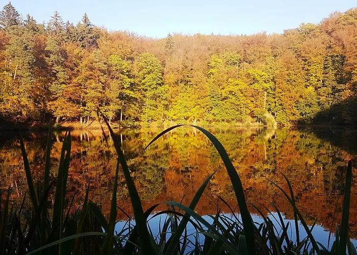 Am Badesee Schoensee 12 Urnshausen